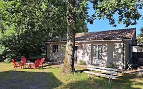 Maison Avec Jardin Au Coeur Du Bassin D'Arcachon